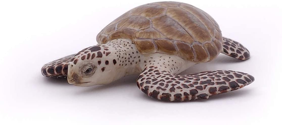 Papo, Realistic Loggerhead Sea Turtle Figure, Ages 3+, Marine Life Collection, Educational Play Marine Animals - Image 4
