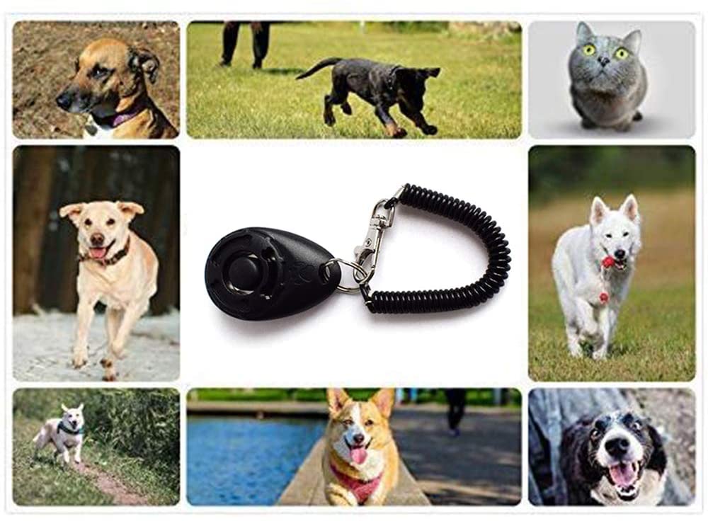 4x Hundeklicker Mit Handschlaufe - Clickertraining Für Hunde, Katzen & Pferde, Edelstahl