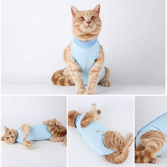 Cat Professional Surgical Recovery Suit,Cat Clothes for Abdominal Wounds or Skin Diseases (L, Blue) - Image 4