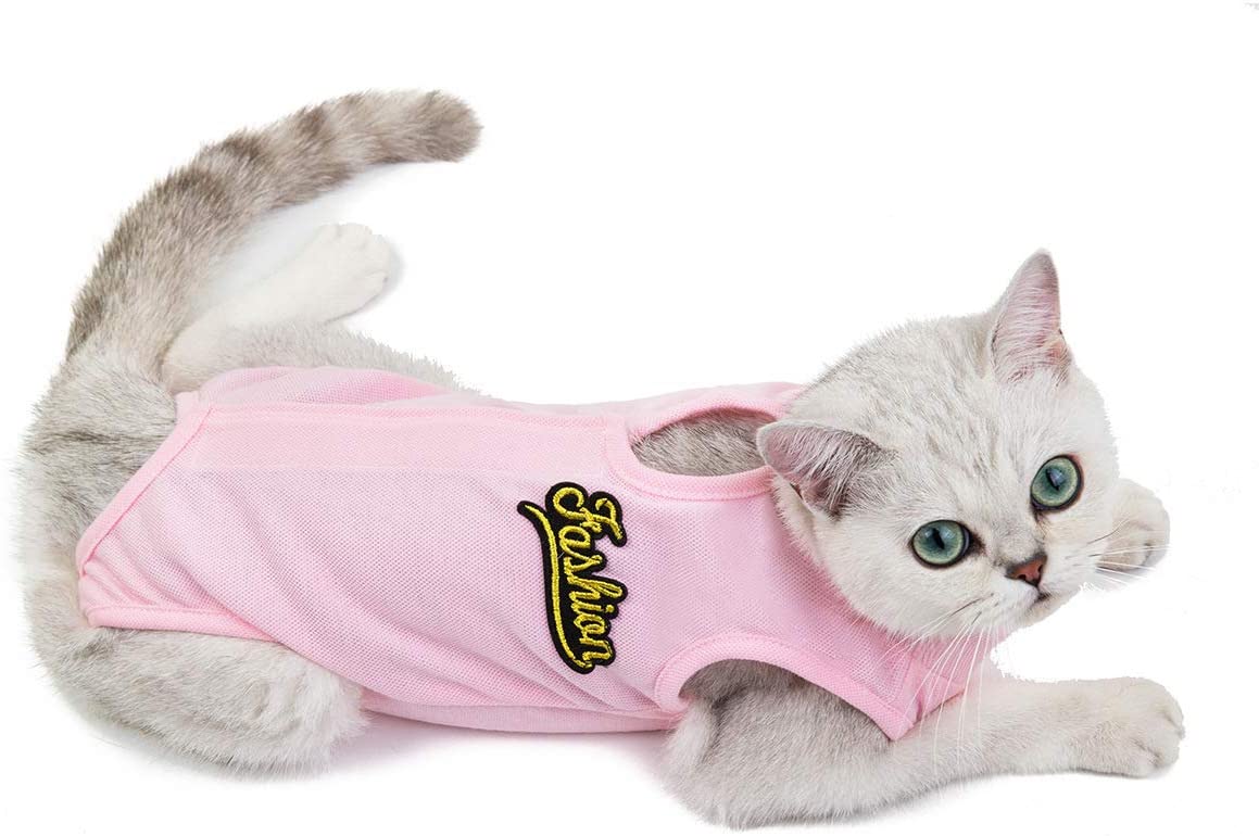 Kismaple Cat Recovery Suit for Abdominal Wounds Surgical Skin Diseases