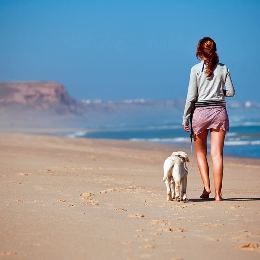 Ferplast ERGOCOMFORT FREE TIME Dog Lead with Running KIT, Reflective, Anti-Shock Elastic Lead, MATIC Technology - Image 4