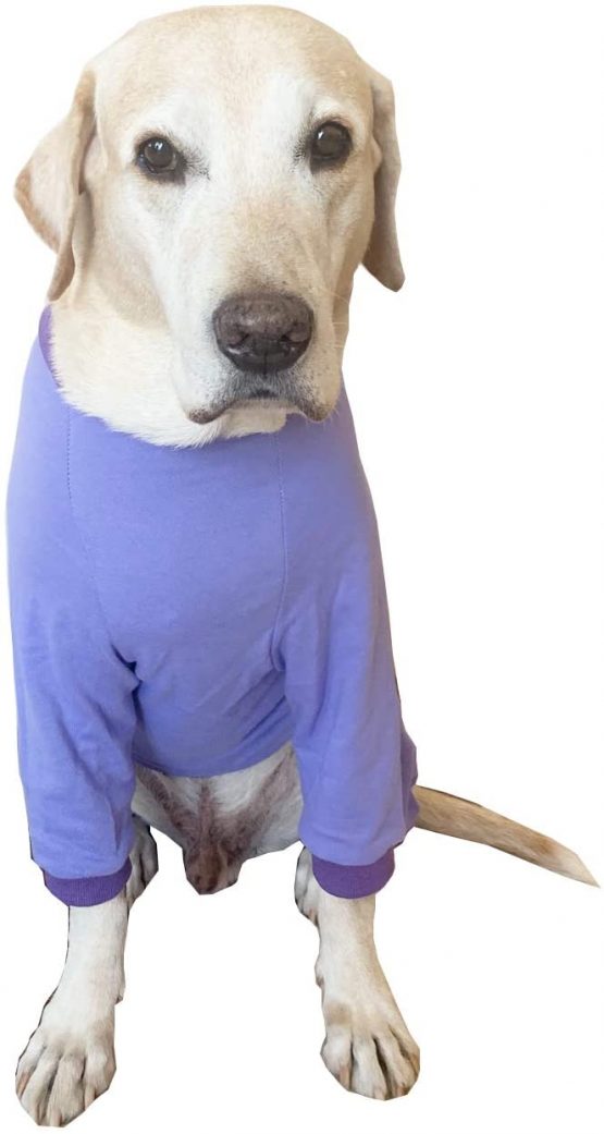 BT Bear Large Dog Clothes, Protect Joints Anti-Hair Four-legged Dog Pajamas Dog Jumpsuit Pet Clothes For Medium Dogs Large Dogs (Purple) - Image 4
