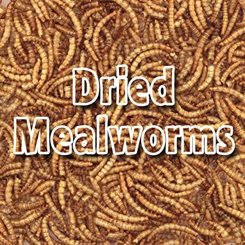 Supa Dried Mealworms for Wild Birds 3 Litre Bucket High Energy Protein Rich Treat, Attract More Wildlife To Your Garden - Image 2