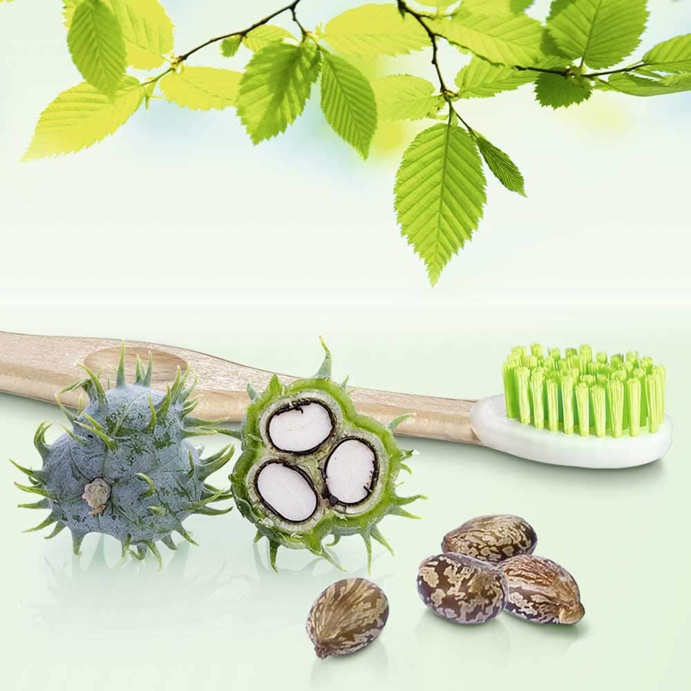 18 Pieces Trisa Natural Clean Soft. Trisa Natural Clean Wooden Toothbrush The Sustainable Toothbrush Made from Swiss Beech Wood. Bristles and Brush Head Made from Renewable Organic Plastic - Image 4