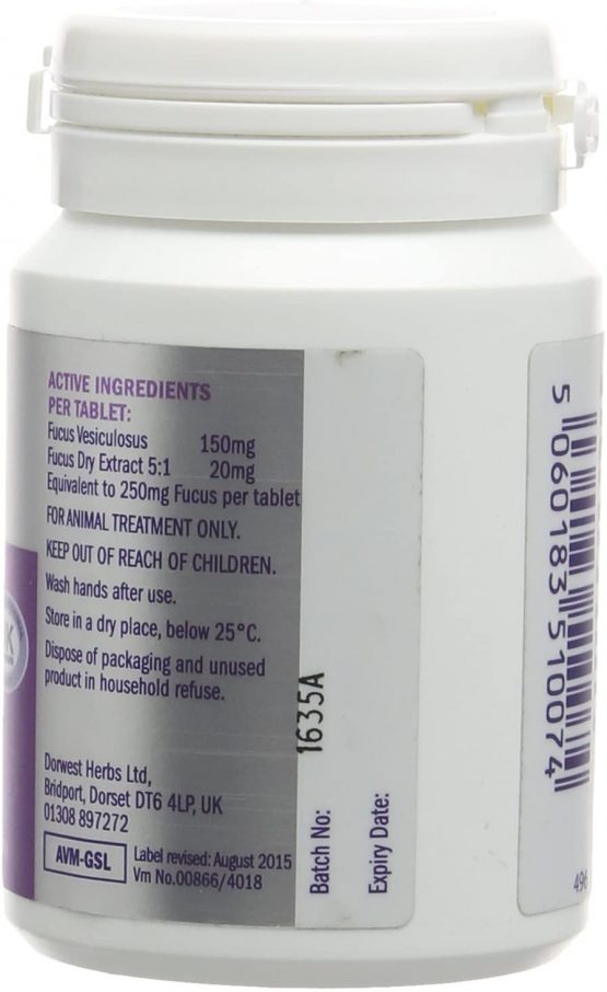 DORWEST HERBS Kelp Seaweed Tablets for Dogs and Cats 200 Tablets - Image 2