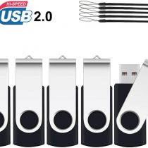 2GB Memory Stick 10 Pack ,SRVR Flash Drive USB 2.0 Swivel Thumb Drives Data Storage Jump Drive Zip Drive Memory Sticks External Devices with Led Indicator(10 Mixed Color With Lanyard)