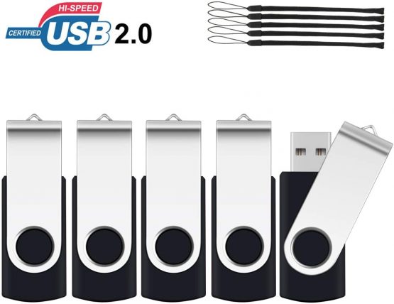 2GB Memory Stick 10 Pack ,SRVR Flash Drive USB 2.0 Swivel Thumb Drives Data Storage Jump Drive Zip Drive Memory Sticks External Devices with Led Indicator(10 Mixed Color With Lanyard)