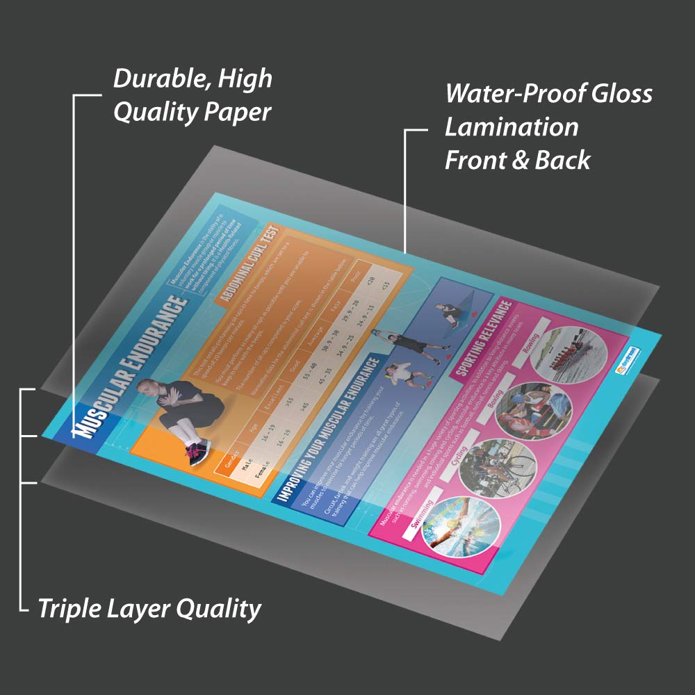 Daydream Education Muscular Endurance, 85L x 59.4W cm - Image 3