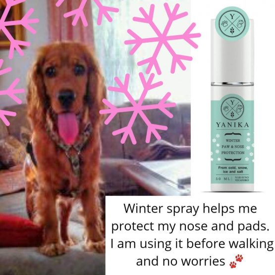Yanika - dog nose, paws protection, recovery, before walk, from cold, wet, humidity, quickly absorbed, no Vaseline, no wax, not slip, natural, healthy, vegan - Image 3