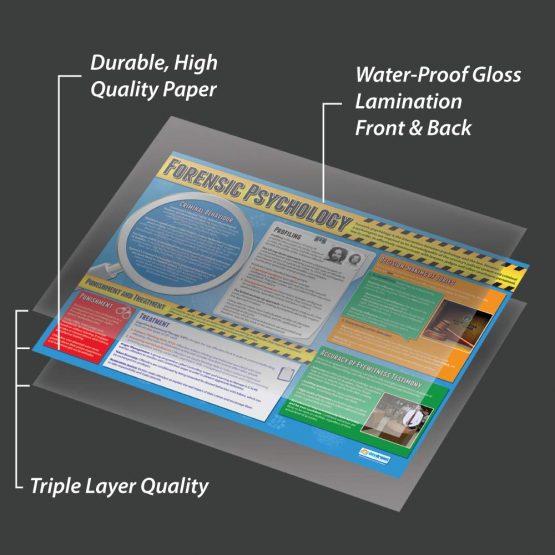 Forensic Psychology | Psychology Posters | Laminated Gloss Paper measuring 850mm x 594mm (A1) | Psychology Charts for the Classroom | Education Charts by Daydream Education - Image 3