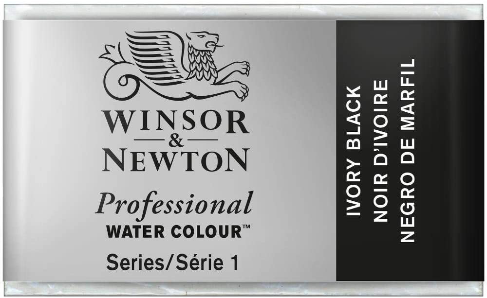 Winsor & Newton Professional Watercolor, Watercolor Paint, High Brightness, Light Resistant, Archive Quality, Bucket
