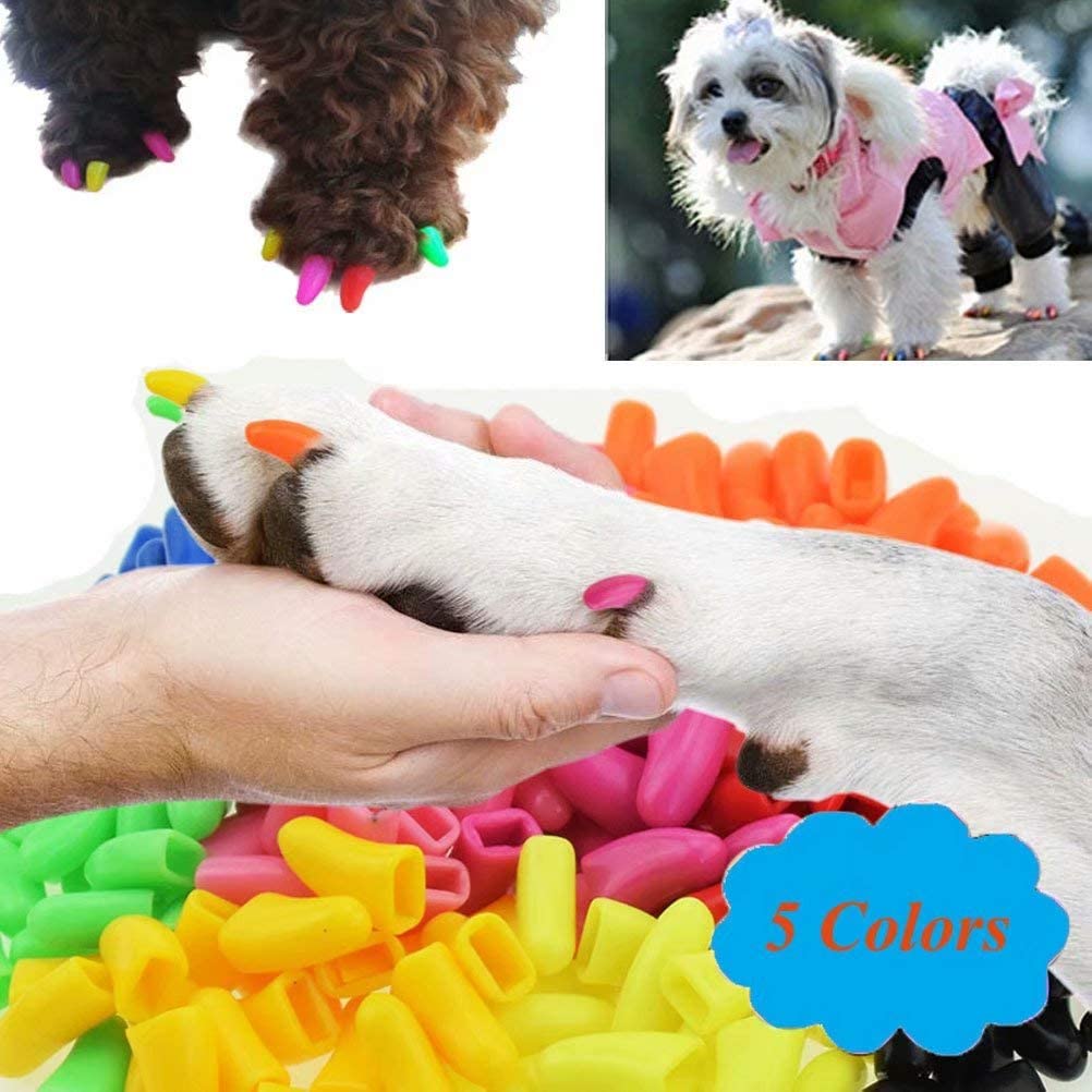 JOYJULY 100pcs Pet Puppy Dog Nail Soft Claw Paws Covers Caps, Control Paws Claws Covers of 5 RANDOM+ 5 Adhesive Glue,S - Image 3