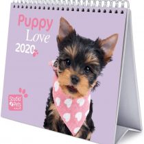 ERIK - Studio Pets Dogs 2020 Desk Calendar - 12 Months,CS20004