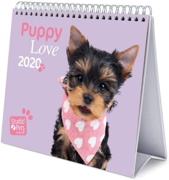 ERIK - Studio Pets Dogs 2020 Desk Calendar - 12 Months,CS20004