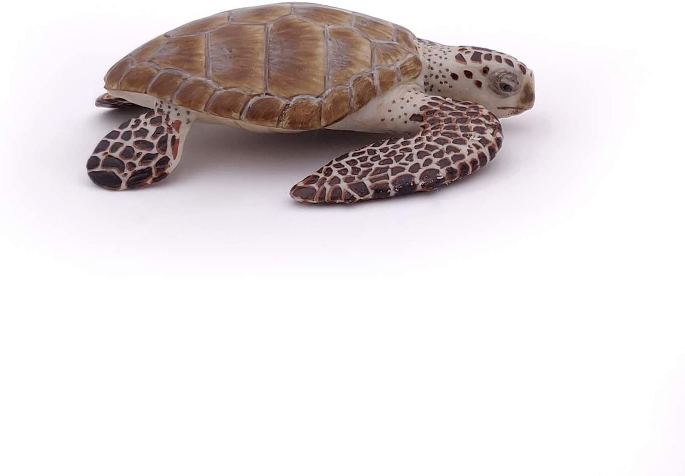 Papo, Realistic Loggerhead Sea Turtle Figure, Ages 3+, Marine Life Collection, Educational Play Marine Animals - Image 2