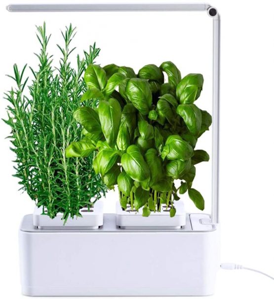 amzWOW Smart Garden hydroponics growing kits compatible with any seed - Smart Indoor Gardening System with LED Plant Grow Light - grow kit - indoor herb garden - dimensions 28.5 x 11.7 x 37 cm
