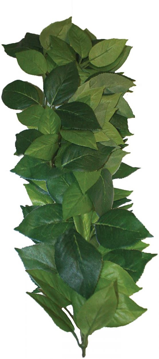 Komodo Sumatra Silk Vine, 35 cm - Image 2