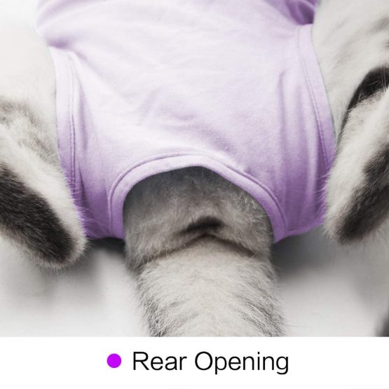 Cat Professional Recovery Suit for Abdominal Wounds or Skin Diseases, E-Collar Alternative for Cats and Dogs, After Surgery Wear, Home Clothing (S, Purple) - Image 3