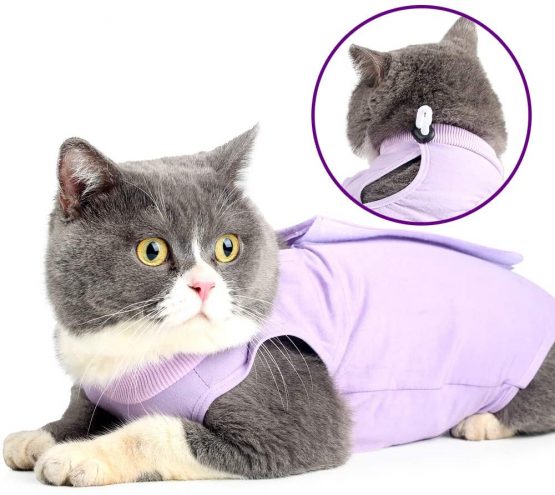 Cat Professional Recovery Suit for Abdominal Wounds or Skin Diseases, E-Collar Alternative for Cats and Dogs, After Surgery Wear, Home Clothing (S, Purple)