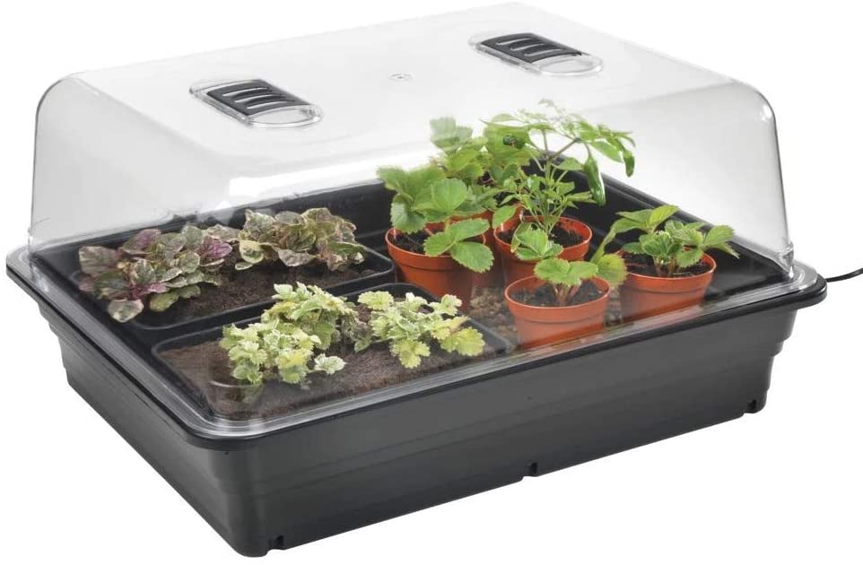 Stewart 2599005 Variable Control Electric Propagator, 52 cm - Black, Large - 52 cm