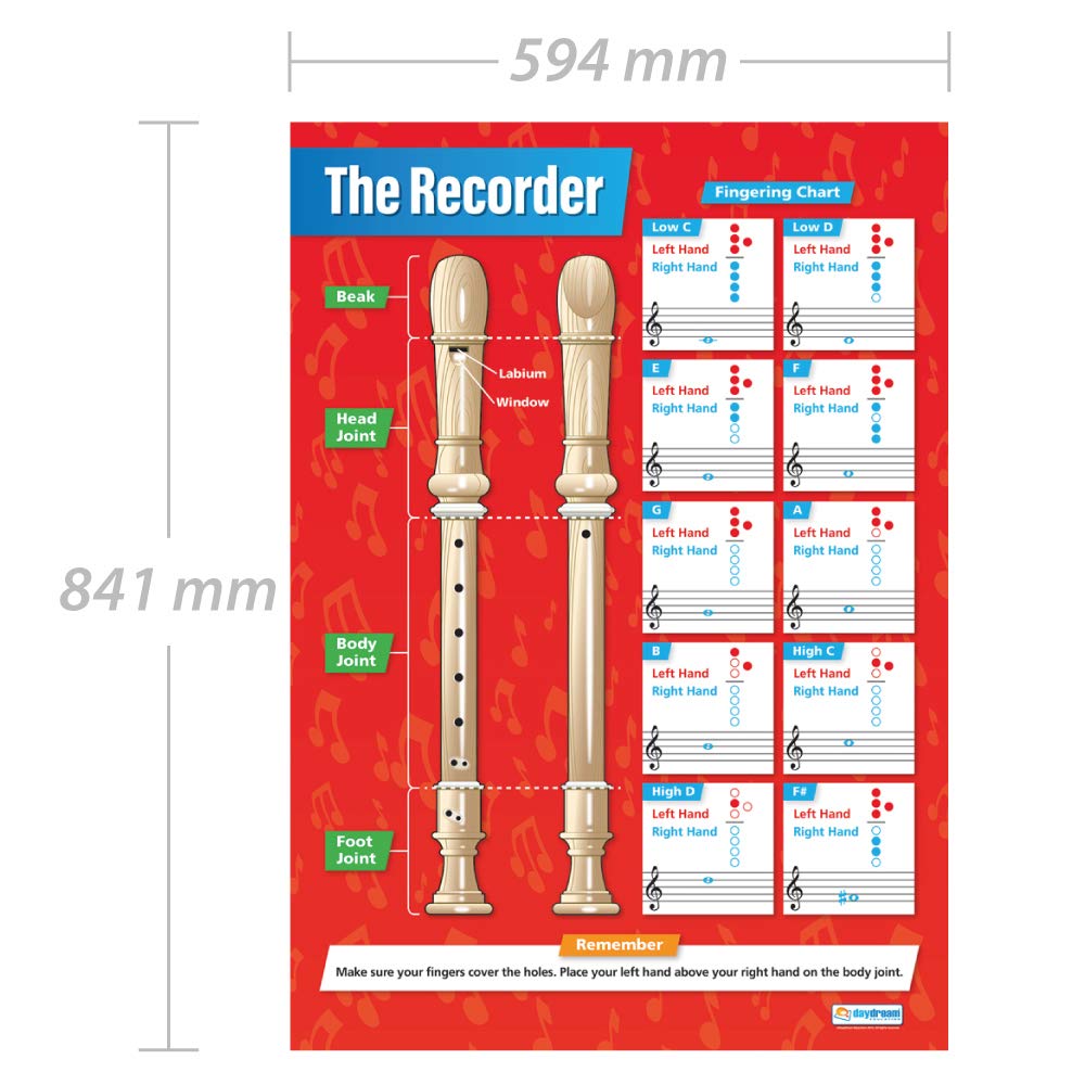 Daydream Education The Recorder, 85L x 59.4W cm - Image 2