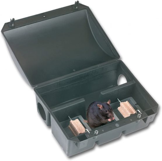 Kerbl Blocbox Bora 299635 Bait Station 32.5 x 25 x 16 cm Against Rats - Image 2