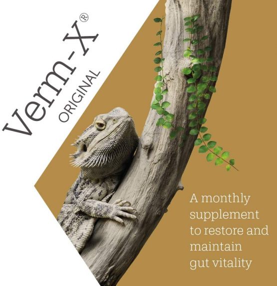 Verm-X Original All Natural Powder for Reptiles. Supports Intestinal Hygiene. Vet Approved. Restores and maintains Gut Vitality. Wormwood Free Recipe, Clear - Image 3