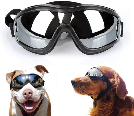 Namsan dog glasses, pet sunglasses, waterproof windproof eye protection for large and medium dog