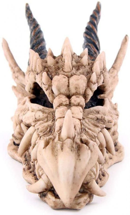 Puckator DRG186 Dragon Skull Money Box 19 x 11 x 11 cm, Mixed, Height Width 11cm Length 19cm Slot 3.5cm - Image 3