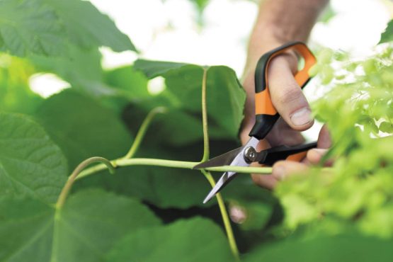 Fiskars Solid Snip Pruning Shears SP15, Length: 23,8cm, High-Quality Steel Blades/Plastic Handle, Black/Orange, 1051602 - Image 3