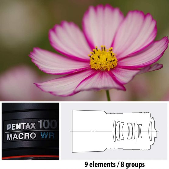 Pentax 100 mm Smc D FA Macro F2.8 WR High-quality Telephoto Macro Lens - Image 4