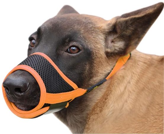 HEELE Dog Muzzle with Adjustable Straps Dog Muzzles to Prevent Biting Barking and Accidental Eating Muzzle for Small Dog (Black-Orange, S) - Image 2
