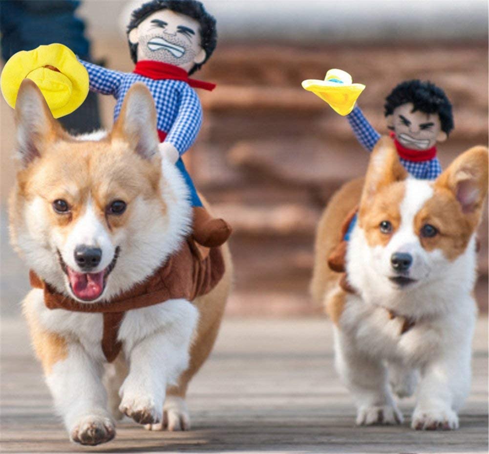DELIFUR Dog Costumes Pet Costume Pet Halloween Suit Cowboy Rider Style Dogs Outfits(XS), Knight - Image 4