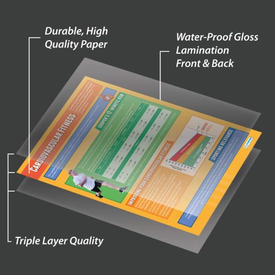 Cardiovascular Fitness | PE Posters | Laminated Gloss Paper measuring 850mm x 594mm (A1) | Physical Education Charts for the Classroom | Education Charts by Daydream Education - Image 3