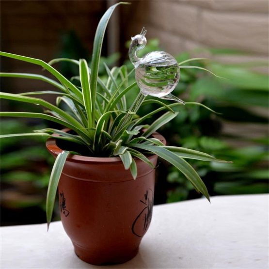 MSYU 3Pcs Self Watering Clear Glass Plant Automatic Watering Bulbs Mushroom Shape Design - Image 3