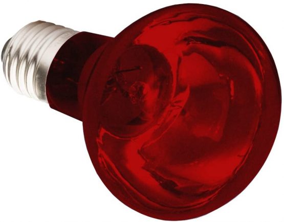 Komodo Infrared Heat Lamp ES, 75 Watt