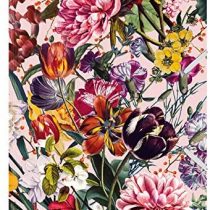 Cedon De Luxe Portfolio File with Flower Greeting