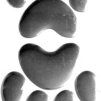 PAIR OF SILVER CHROME BEAR PAW PRINT Car Emblem Decal Badge Sticker - LARGE SIZE