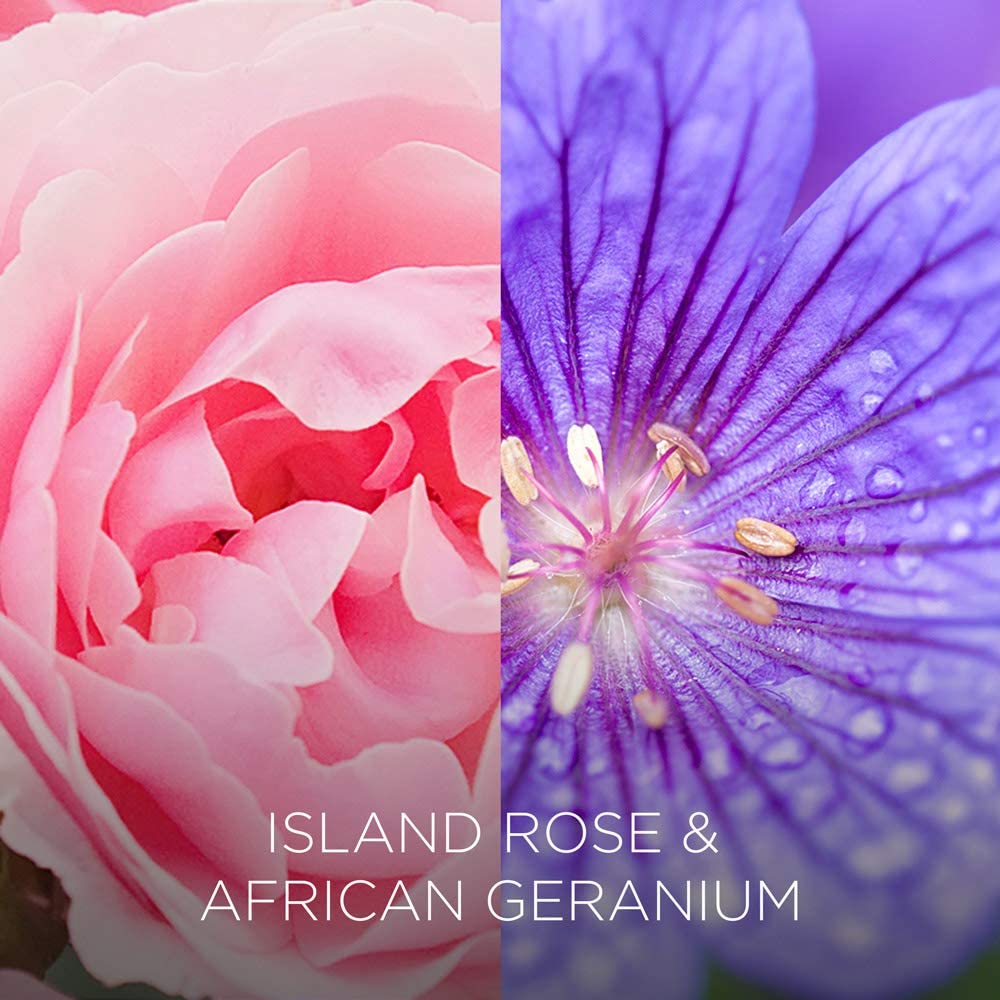 BOTANICA by Air Wick Air Freshener Reed Diffuser Island Rose and African Geranium 80 ml - Image 3