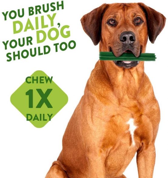WHIMZEES Natural Dental Dog Chews Long lasting, Large Stix, 7 Pieces - Image 2