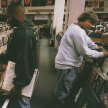 Endtroducing.....