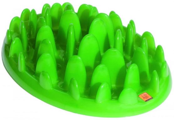 GREEN Interactive Feeder, Mini