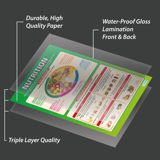 Nutrition | PSHE Posters | Laminated Gloss Paper measuring 850mm x 594mm (A1) | PSE Classroom Posters | Education Charts by Daydream Education - Image 3