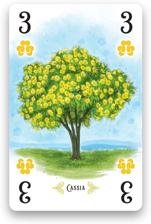Renegade Game Studios , Arboretum , Card Game , Ages 8+ , 2-4 Players , 30 Minutes Playing Time, Mixed Colours - Image 4