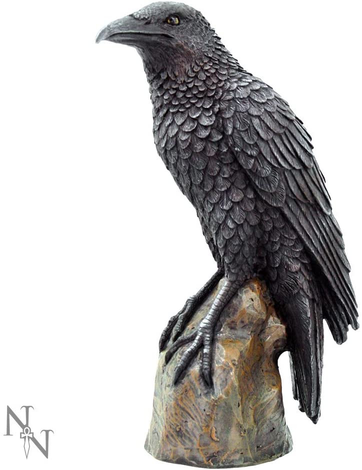 Nemesis Now Ravens Rest Figurine 20cm Black, 21.5cm