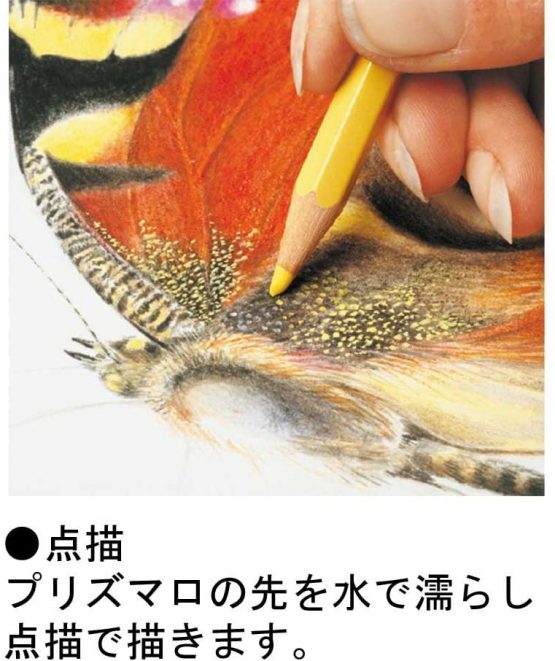 SG Education CD 0999-318 Caran D'ache Prismalo Aquarelle Watercolour Pencil (Pack of 18) - Image 4