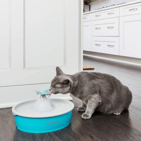 PetSafe Drinkwell Butterfly Pet Fountain - 1.5 Litre Capacity Fresh Filtered Water Dispensers for Cats and Dogs - Adjustable Flow - Filters Included - Image 4