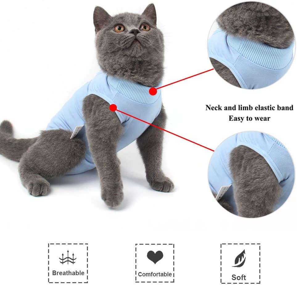 cat after surgery shirt