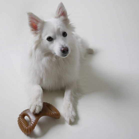Benebone Durable Dental Dog Chew Toy for Aggressive Chewers, Real Bacon, Medium, Updated Design. - Image 4