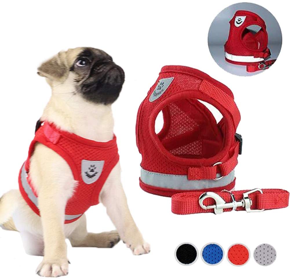 FEimaX Dog Harness and Leash Set